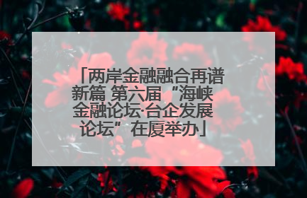 两岸金融融合再谱新篇 第六届“海峡金融论坛·台企发展论坛”在厦举办
