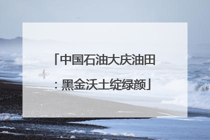 中国石油大庆油田：黑金沃土绽绿颜