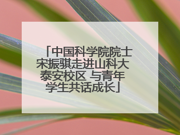 中国科学院院士宋振骐走进山科大泰安校区 与青年学生共话成长