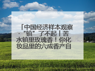 中国经济样本观察·“镇”了不起丨苦水镇里玫瑰香！你化妆品里的六成香产自这个小镇