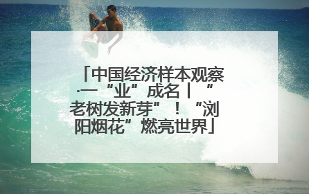 中国经济样本观察·一“业”成名丨“老树发新芽”！“浏阳烟花”燃亮世界