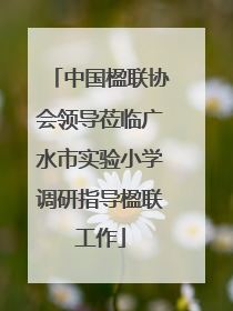 中国楹联协会领导莅临广水市实验小学调研指导楹联工作