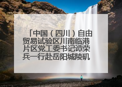 中国（四川）自由贸易试验区川南临港片区党工委书记谭荣兵一行赴岳阳城陵矶综保区考察