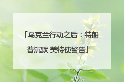 乌克兰行动之后：特朗普沉默 美特使警告
