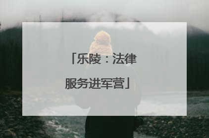 乐陵：法律服务进军营