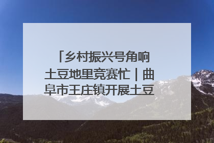 乡村振兴号角响 土豆地里竞赛忙｜曲阜市王庄镇开展土豆收获劳动竞赛