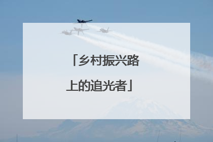 乡村振兴路上的追光者