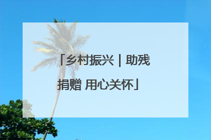 乡村振兴｜助残捐赠 用心关怀