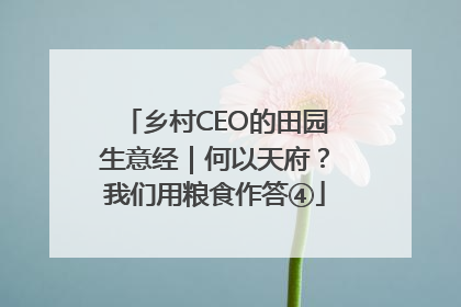 乡村CEO的田园生意经｜何以天府？我们用粮食作答④