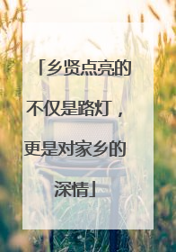 乡贤点亮的不仅是路灯，更是对家乡的深情
