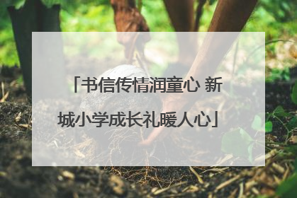书信传情润童心 新城小学成长礼暖人心