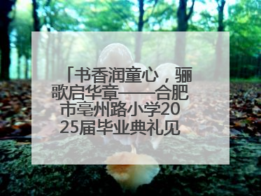 书香润童心，骊歌启华章——合肥市亳州路小学2025届毕业典礼见证成长时刻