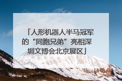人形机器人半马冠军的“同胞兄弟”亮相深圳文博会北京展区