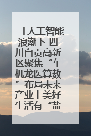 人工智能浪潮下 四川自贡高新区聚焦“车机龙医算数”布局未来产业丨美好生活有“盐”味