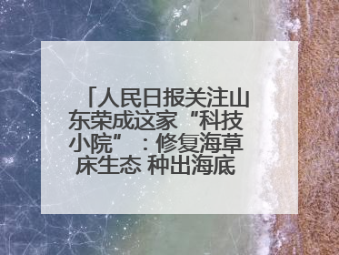 人民日报关注山东荣成这家“科技小院”：修复海草床生态 种出海底“森林”
