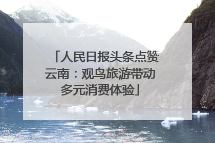 人民日报头条点赞云南：观鸟旅游带动多元消费体验