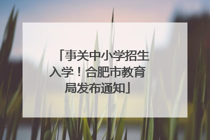 事关中小学招生入学！合肥市教育局发布通知