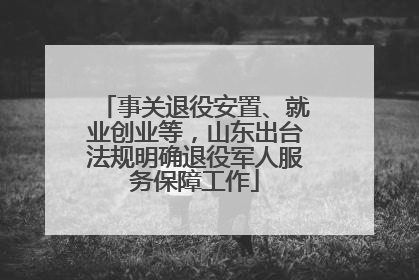 事关退役安置、就业创业等，山东出台法规明确退役军人服务保障工作