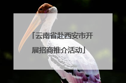 云南省赴西安市开展招商推介活动