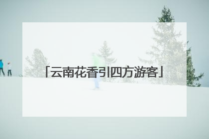云南花香引四方游客