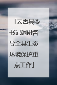 云霄县委书记调研督导全县生态环境保护重点工作