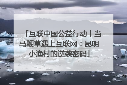 互联中国公益行动丨当马鞭草遇上互联网：昆明小渔村的逆袭密码