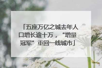 五座万亿之城去年人口增长逾十万，“增量冠军”重回一线城市