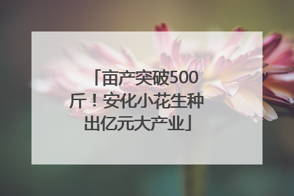 亩产突破500斤！安化小花生种出亿元大产业