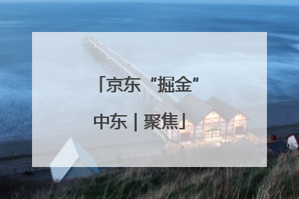 京东“掘金”中东｜聚焦