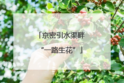 京密引水渠畔“一路生花”