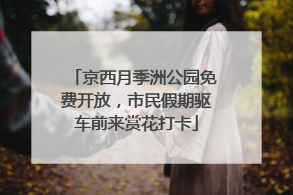 京西月季洲公园免费开放，市民假期驱车前来赏花打卡