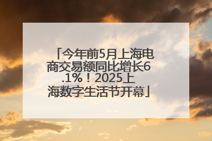 今年前5月上海电商交易额同比增长6.1%！2025上海数字生活节开幕