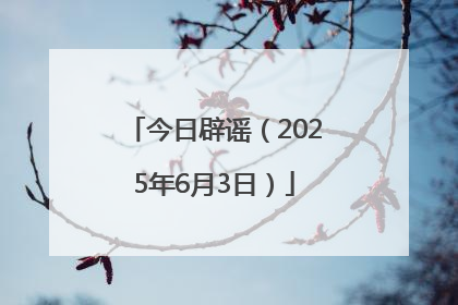 今日辟谣（2025年6月3日）