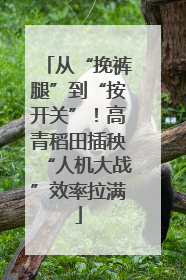 从“挽裤腿”到“按开关”！高青稻田插秧“人机大战”效率拉满