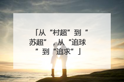 从“村超”到“苏超”，从“追球”到“追求”