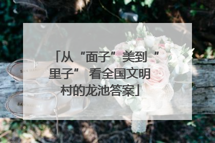 从“面子”美到“里子” 看全国文明村的龙池答案