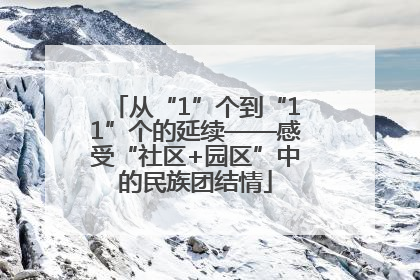 从“1”个到“11”个的延续——感受“社区+园区”中的民族团结情