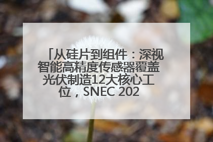 从硅片到组件：深视智能高精度传感器覆盖光伏制造12大核心工位，SNEC 2025诚邀见证