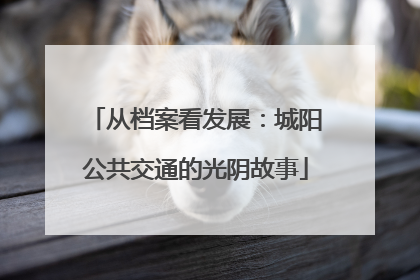 从档案看发展：城阳公共交通的光阴故事