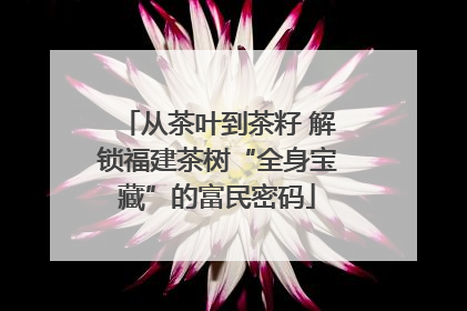 从茶叶到茶籽 解锁福建茶树“全身宝藏”的富民密码