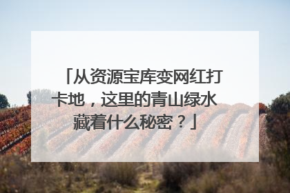 从资源宝库变网红打卡地，这里的青山绿水藏着什么秘密？