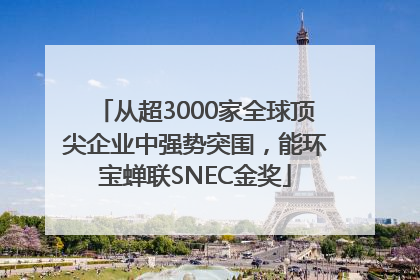 从超3000家全球顶尖企业中强势突围，能环宝蝉联SNEC金奖