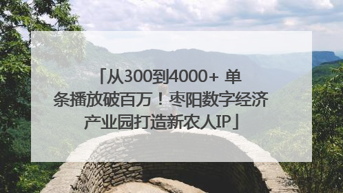 从300到4000+ 单条播放破百万！枣阳数字经济产业园打造新农人IP