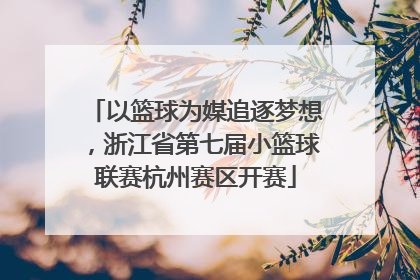 以篮球为媒追逐梦想，浙江省第七届小篮球联赛杭州赛区开赛