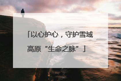 以心护心，守护雪域高原“生命之脉”