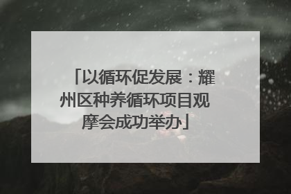 以循环促发展：耀州区种养循环项目观摩会成功举办
