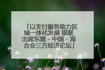 以支付服务助力区域一体化发展 银联出席东盟－中国－海合会三方经济论坛