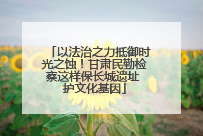 以法治之力抵御时光之蚀！甘肃民勤检察这样保长城遗址 护文化基因