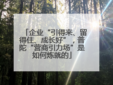 企业“引得来、留得住、成长好”，普陀“营商引力场”是如何炼就的