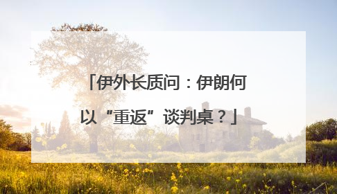 伊外长质问：伊朗何以“重返”谈判桌？